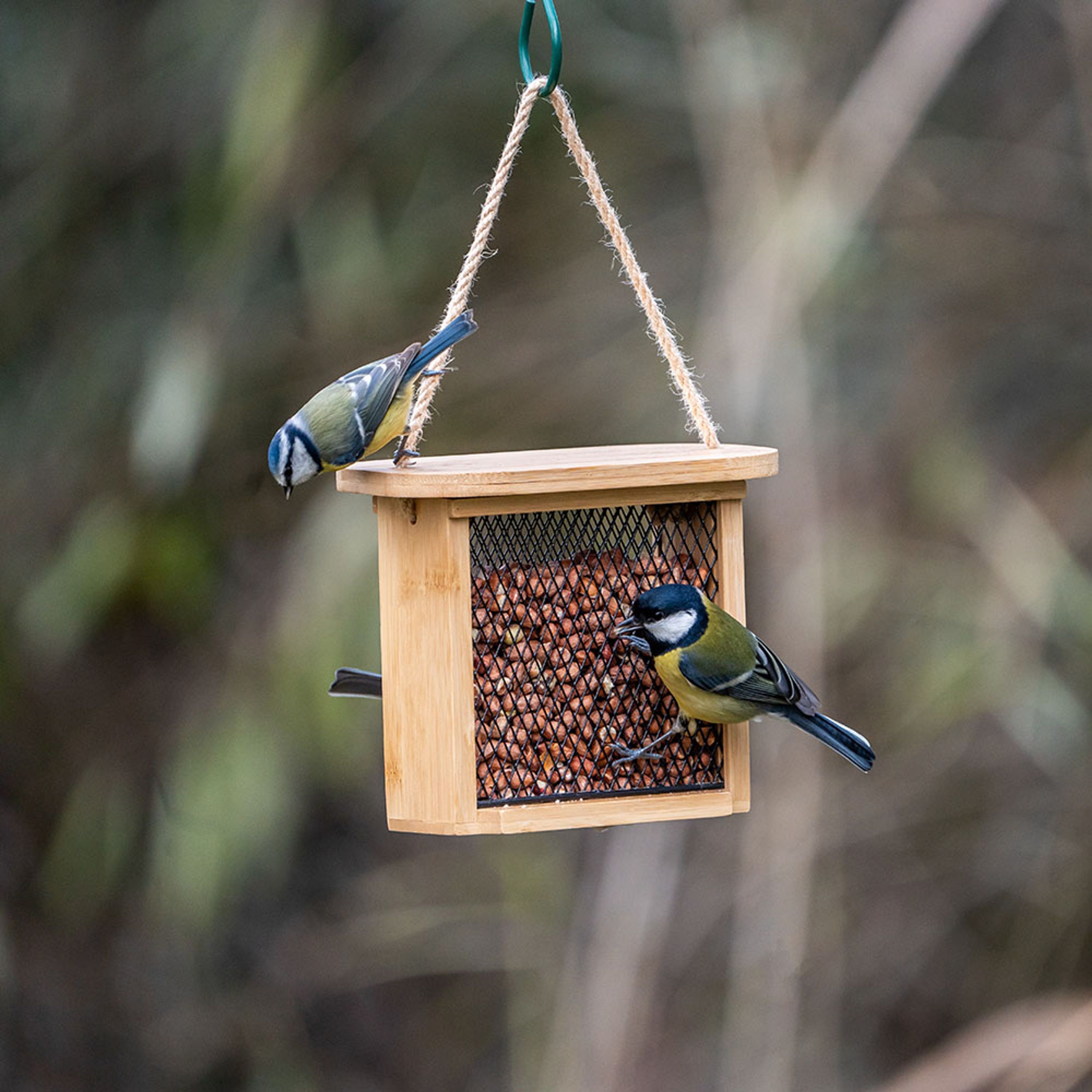 Futterhaus Nagano für Erdnüsse und Fettpellets | CJ Wildlife